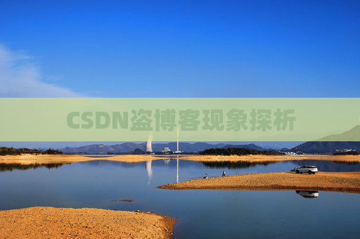 CSDN盗博客现象探析